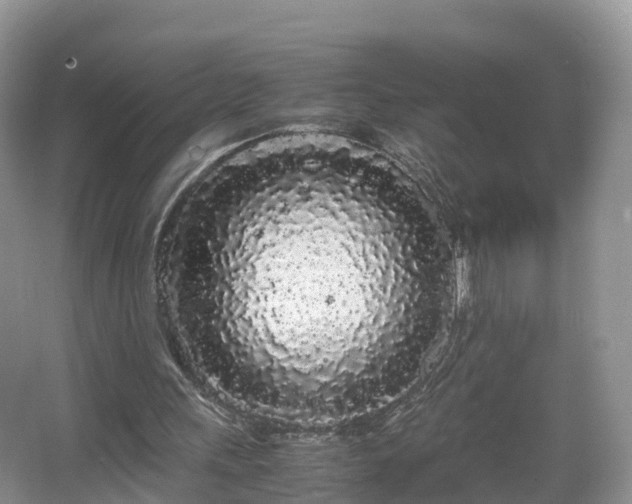 X0000067930243200604171442