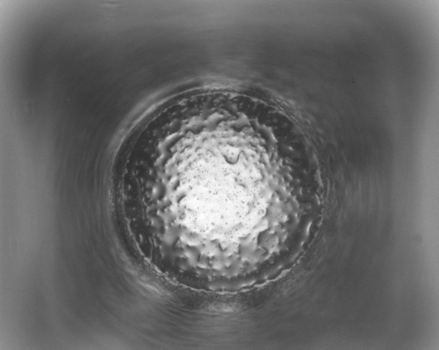 X0000067930247200604171442
