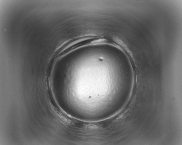 X0000067930249200604171442