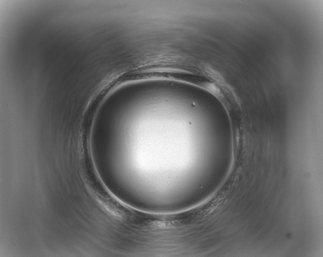 X0000067930250200604171442