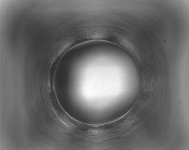 X0000067930251200604171442