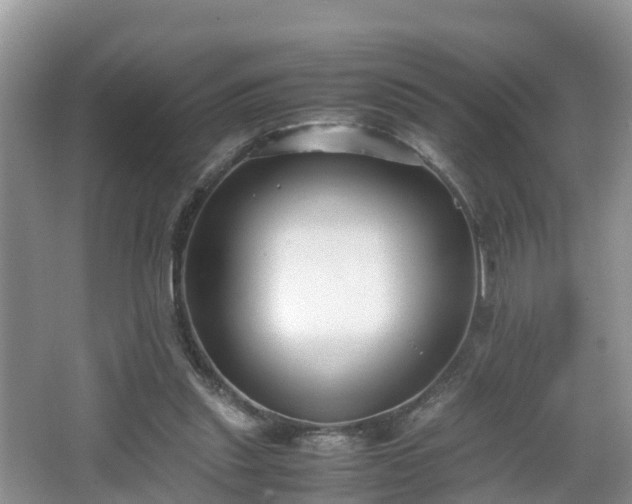 X0000067930253200604171442