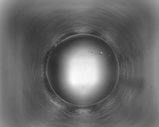X0000067930255200604171442
