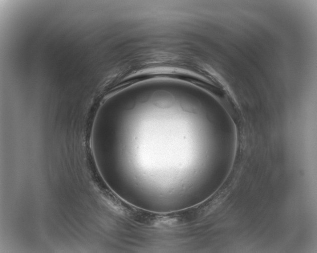 X0000067930257200604171442