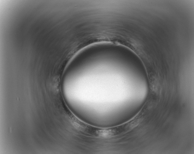 X0000067930273200604171442