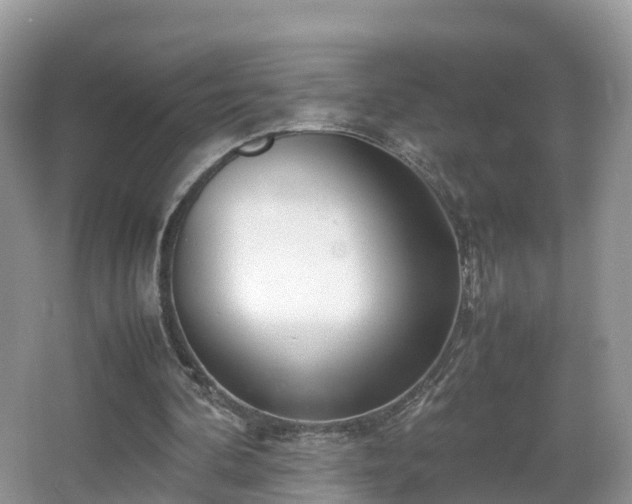 X0000067930292200604171442