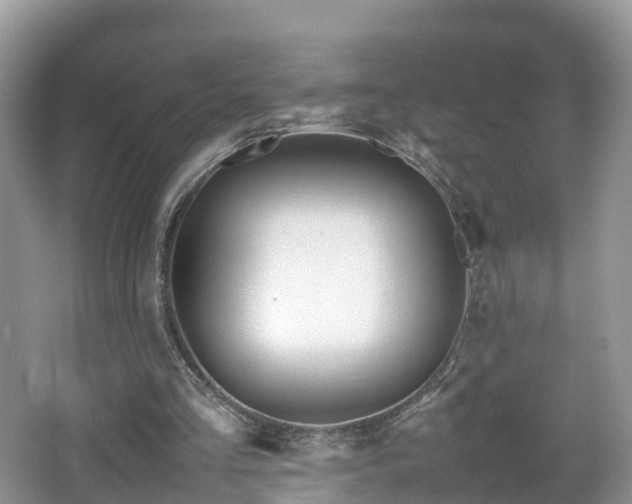 X0000067930293200604171442