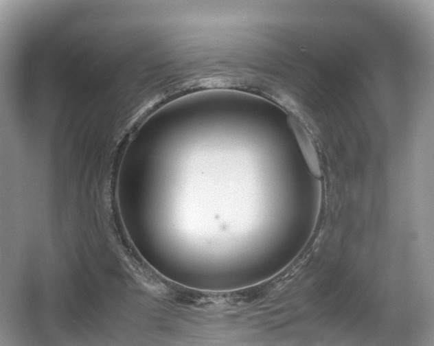X0000067930297200604171442