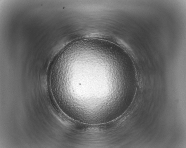 X0000067930298200604171442