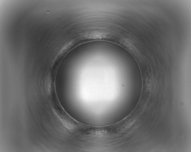 X0000067930304200604171441