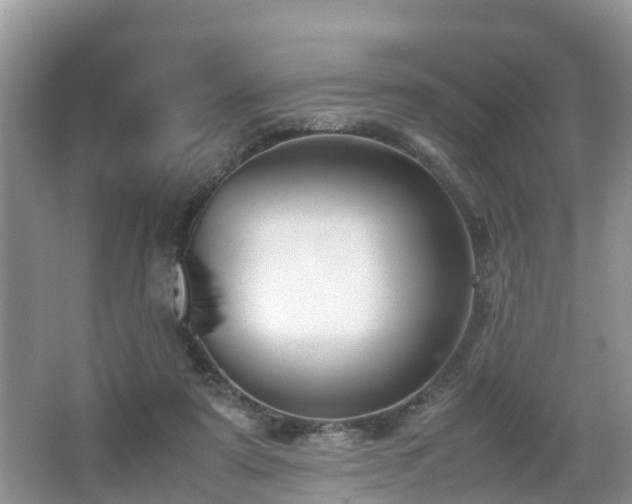 X0000067930307200604171441