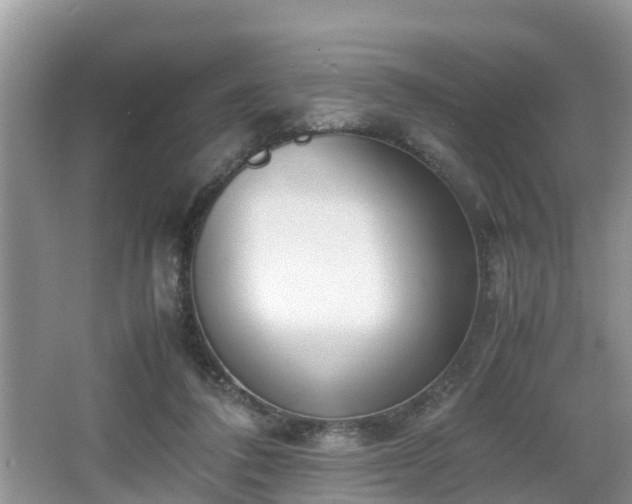 X0000067930308200604171441
