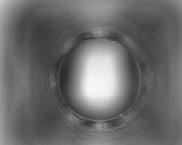 X0000067930317200604171441