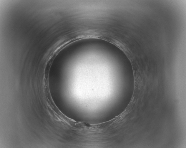 X0000067930338200604171440