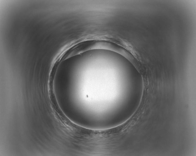X0000067930340200604171440