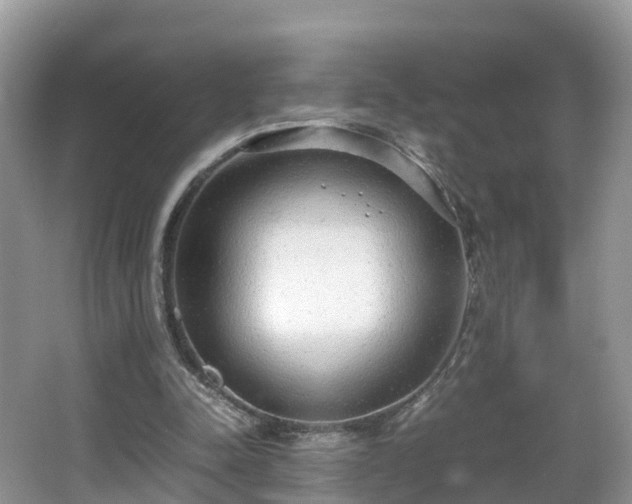 X0000067930342200604171440