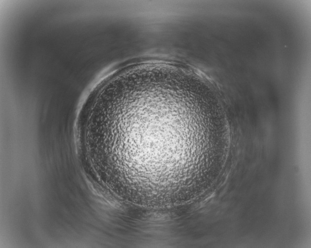 X0000067930343200604171440