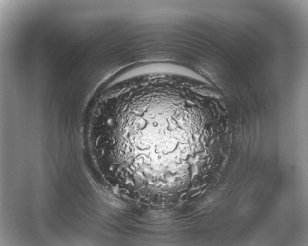 X0000067930351200604171440