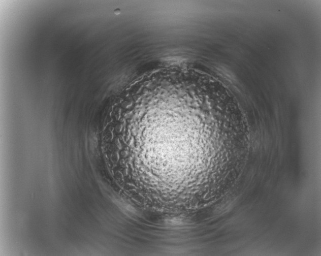 X0000067930365200604171441