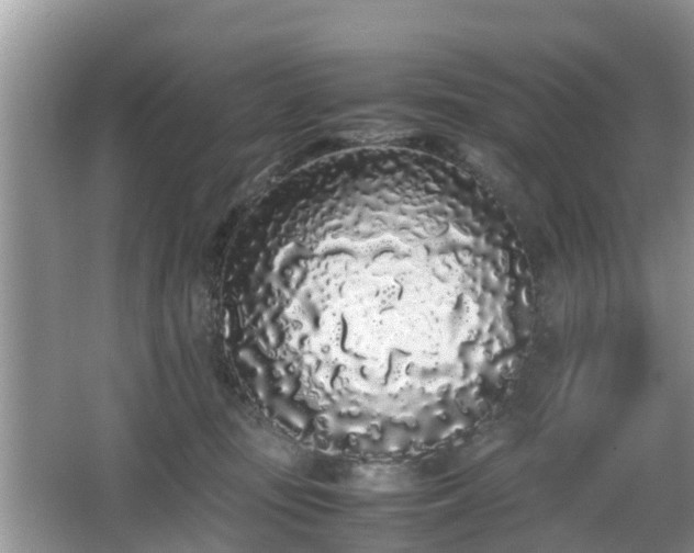 X0000067930371200604171441