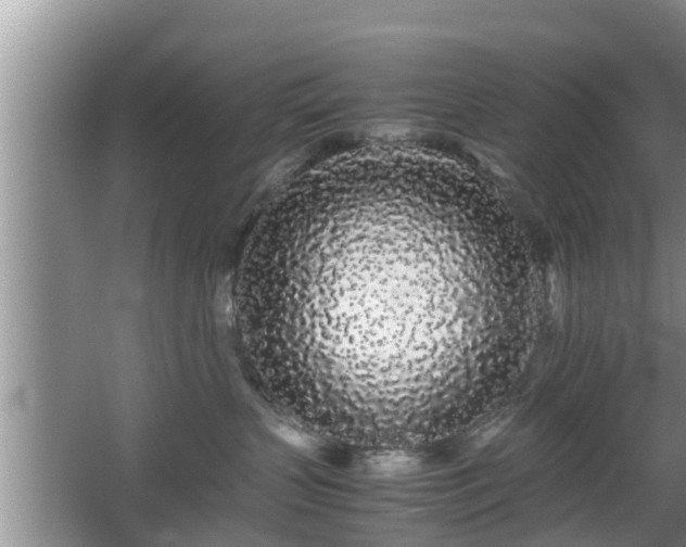 X0000067930383200604171441