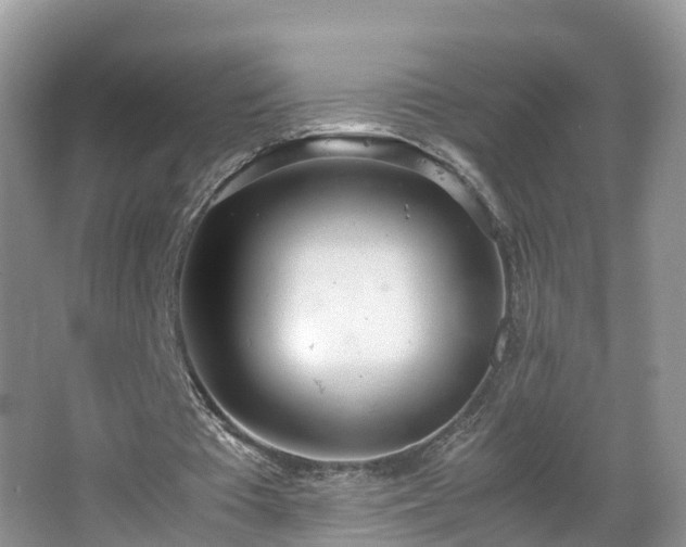 X0000067930385200604171440