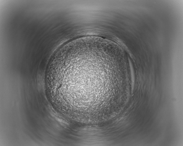 X0000067930386200604171440