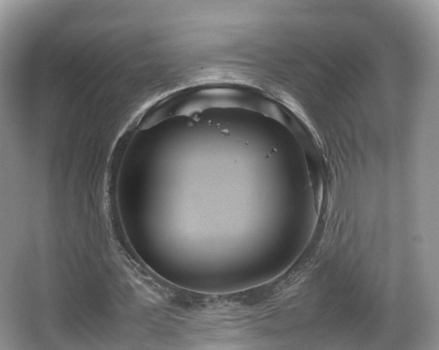 X0000067930387200604171440