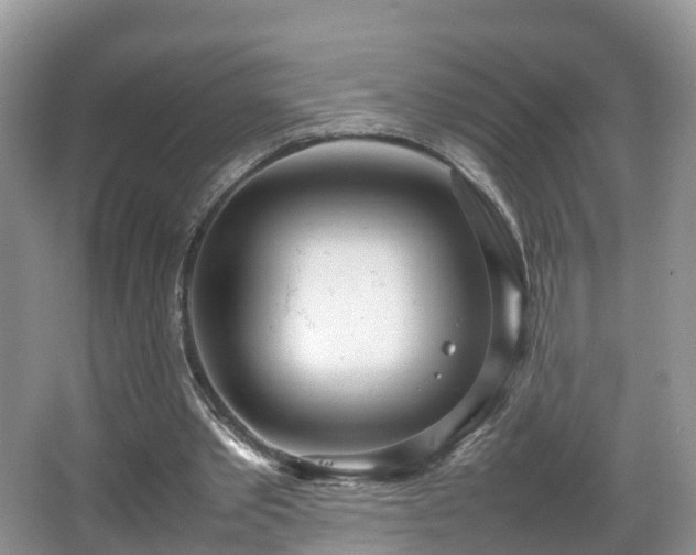 X0000067930389200604171440
