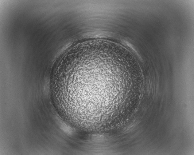 X0000067930394200604171440