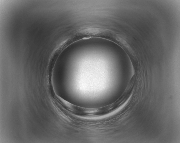 X0000067930399200604171440