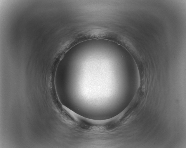 X0000067930403200604171440