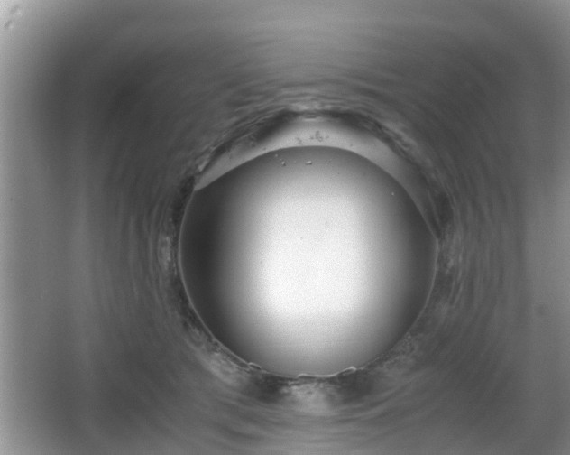 X0000067930417200604171440