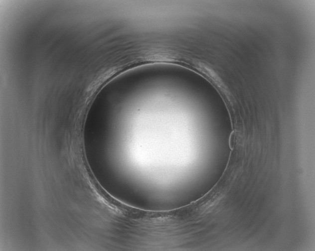 X0000067930433200604171438