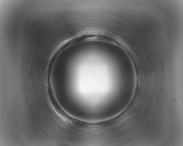 X0000067930438200604171439