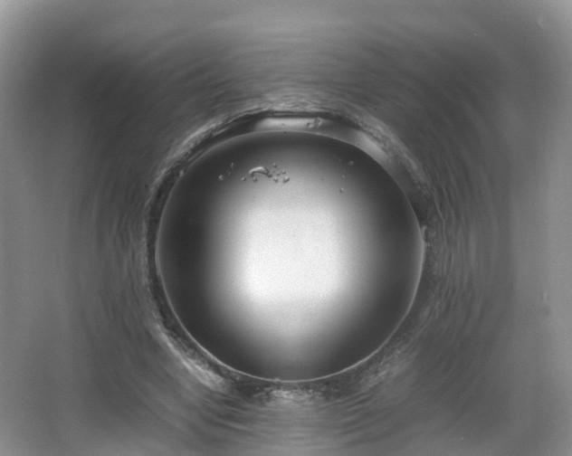 X0000067930442200604171439