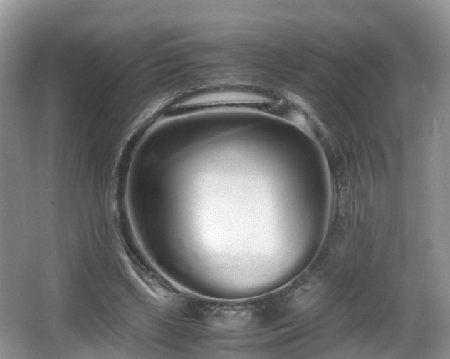 X0000067930443200604171439
