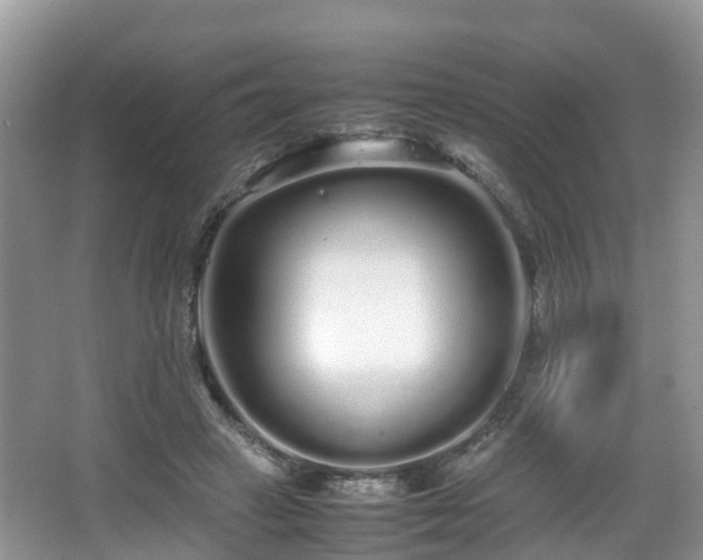 X0000067930449200604171439