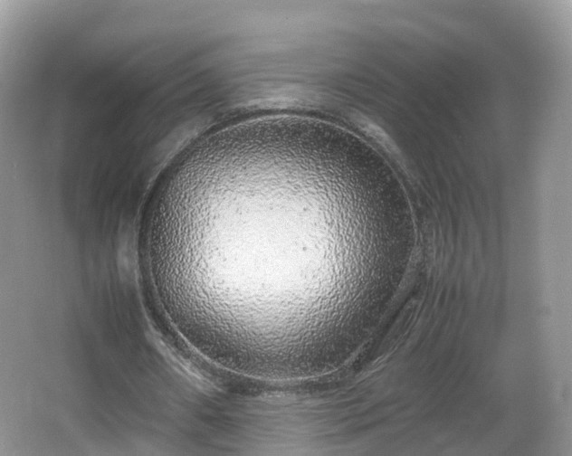 X0000067930482200604171438