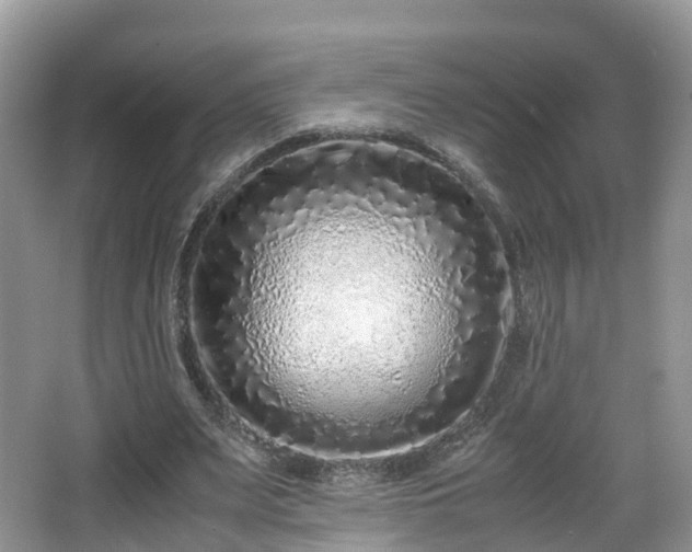 X0000067930487200604171438