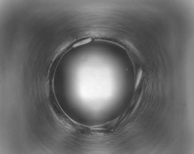 X0000067930488200604171438