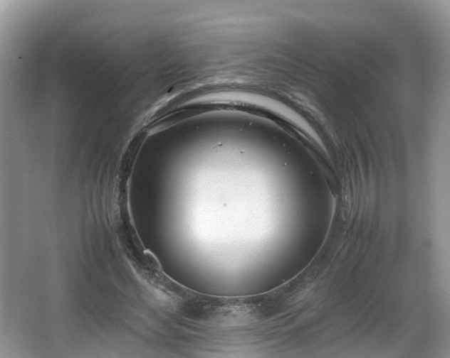 X0000067930492200604171438