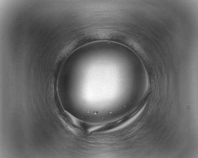 X0000067930493200604171438