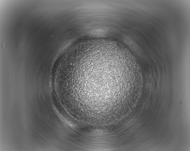 X0000067930494200604171438