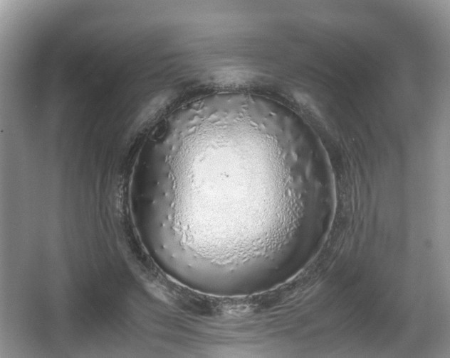 X0000067930495200604171438