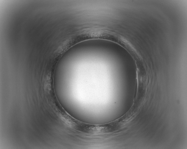 X0000067930497200604171438