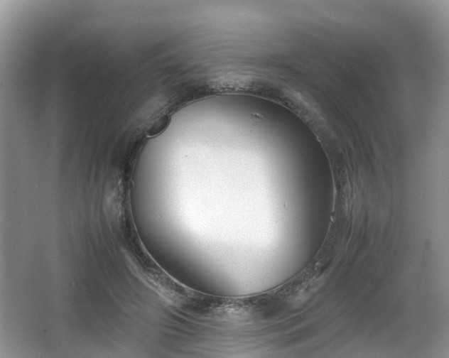 X0000067930498200604171438
