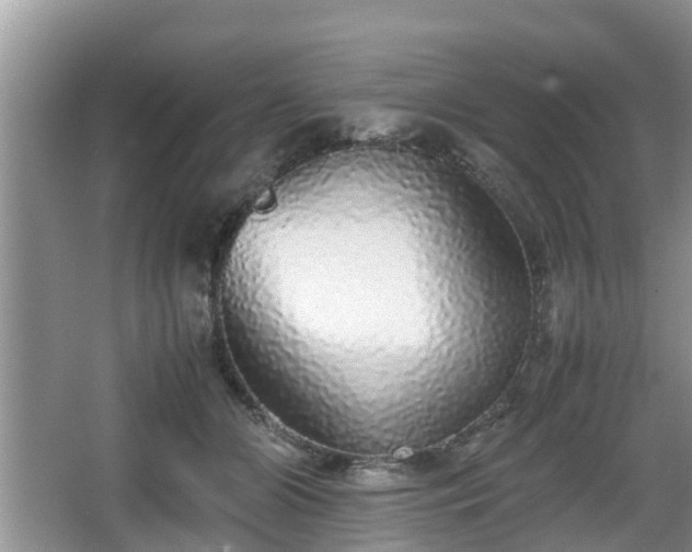 X0000067930510200604171438