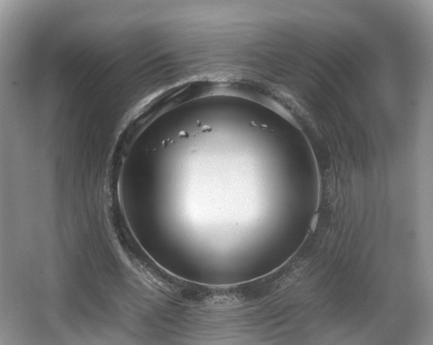X0000067930536200604171437