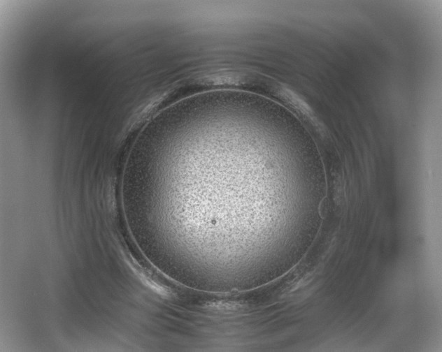 X0000067930537200604171437